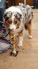 - En Canincross, Jaika gagne sa première course le 5 mai 2016