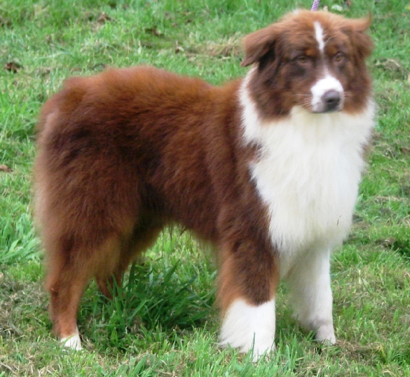 Uderzo red dit URBAN Du rivage des mille etangs