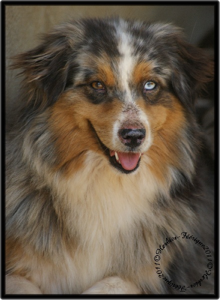 C'kiona Du rivage des mille etangs