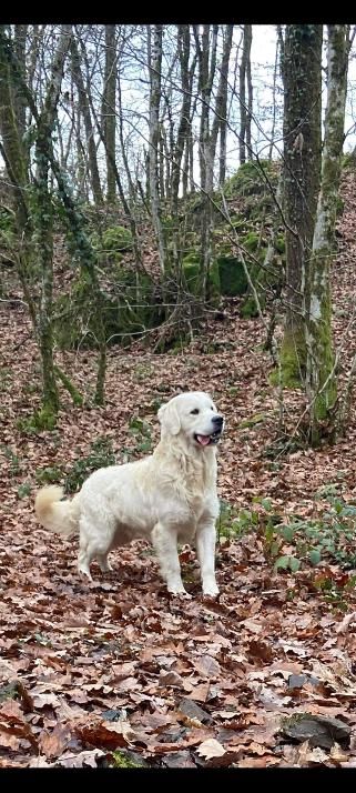 Spartacus de la vallée des ki-saout