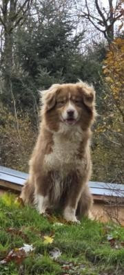 Tiga Du rivage des mille etangs