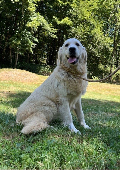 Val d'isère dit valy Du rivage des mille etangs