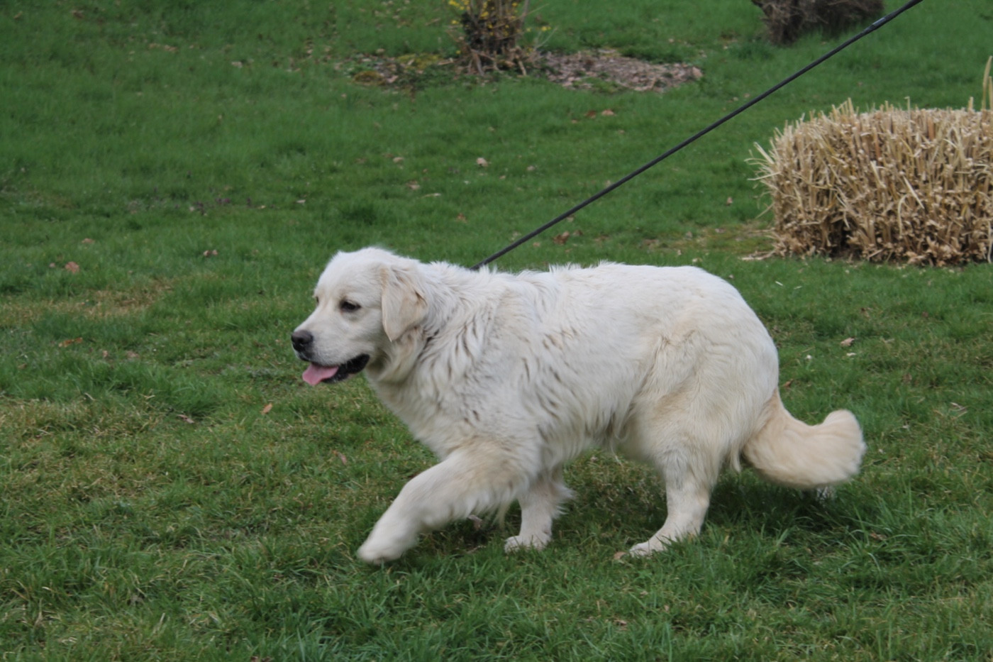 Aravis Du rivage des mille etangs